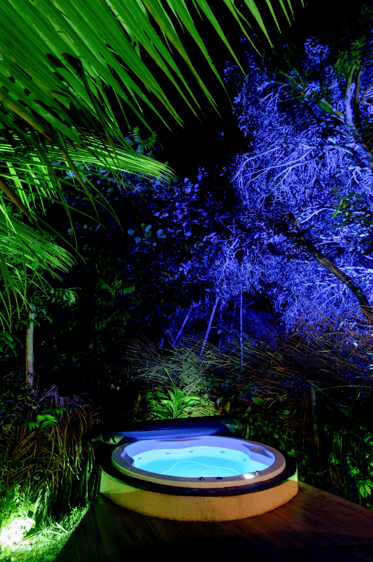 A mata iluminada de azul à noite, vista do deck