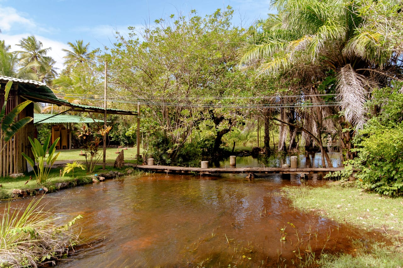 O rio de Imbassaí correndo entre a vegetação, com uma passarela de madeira ao fundo